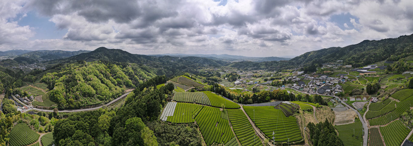 Was macht unsere Japanischen Grüntees so lecker?
