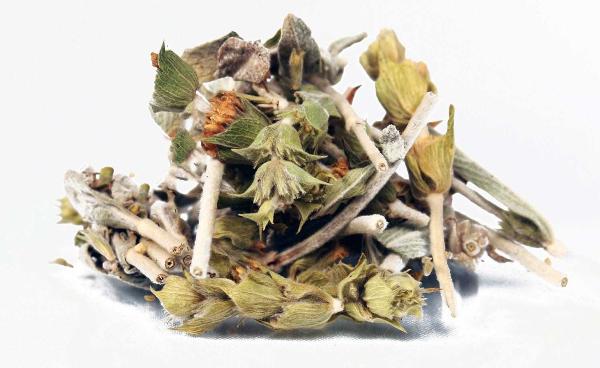 Thé de Montagne Grec Bio