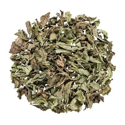Menthe Nana Bio