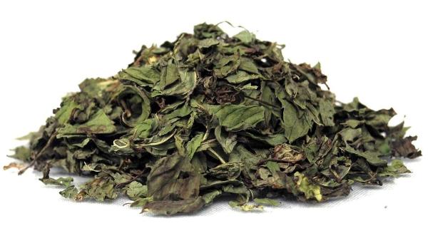 Menthe Nana Bio