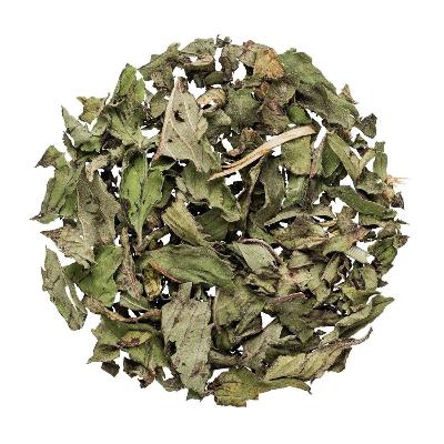 Menthe Bio