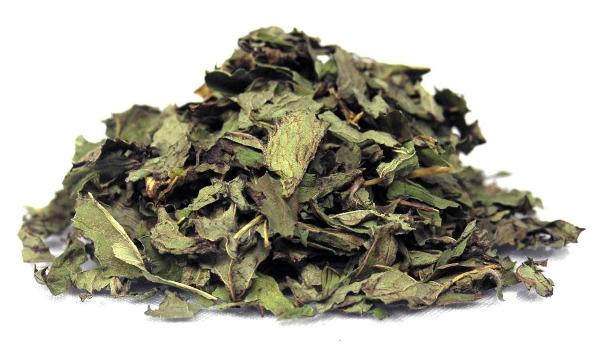 Menthe Bio