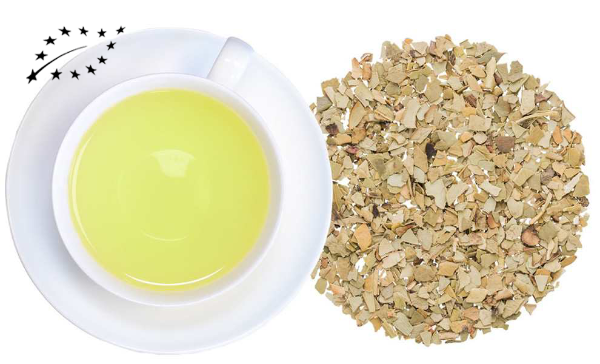 Maté vert Bio
