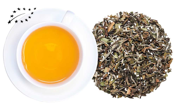 Action Népal FTGFOP First Flush Bio (250 g)