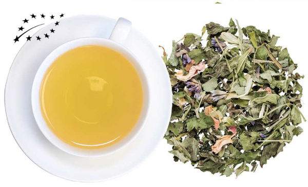  Chill-out organic